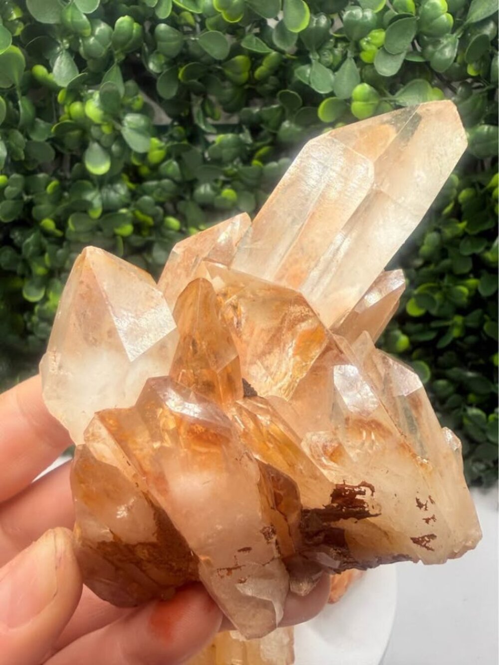 🔥 Golden Healer / Fire Quartz Cluster with Red Hematite Inclusions 🔥